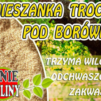 Mieszanka Trocin Do Borówki 10L