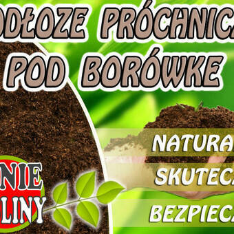 Podłoże Pod Borówkę 5L