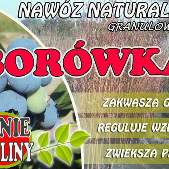 Nawóz Naturalny 'Borówka' 