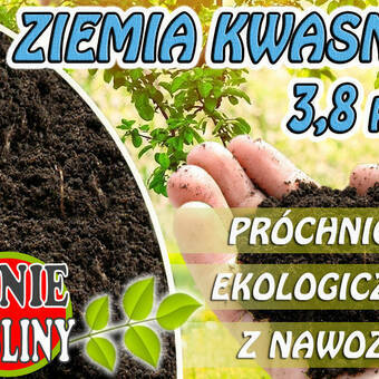  Ziemia Kwaśna 3,8pH Borówki 5L  