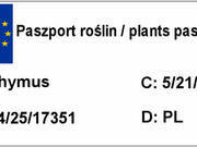  Tymianek 'Thymus vulgaris'   - zdjęcie duże 1