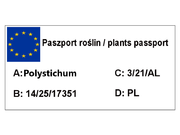   Paproć 'Polystichum'  Paprotnik  - zdjęcie duże 1