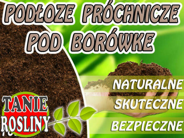  Podłoże Pod Borówkę 5L - zdjęcie główne