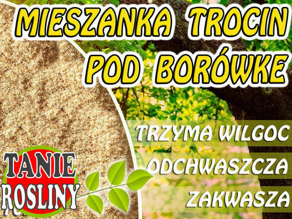  Mieszanka Trocin Do Borówki 10L - zdjęcie główne