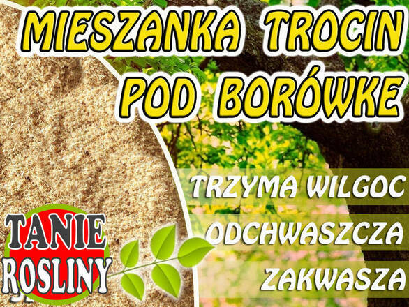  Mieszanka Trocin Do Borówki 5L  - zdjęcie główne