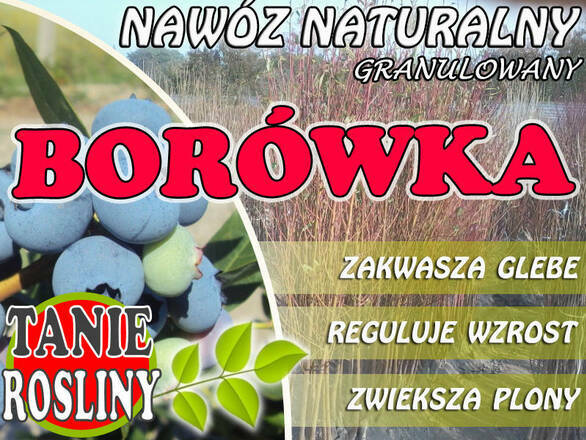  Nawóz Naturalny 'Borówka'  - zdjęcie główne