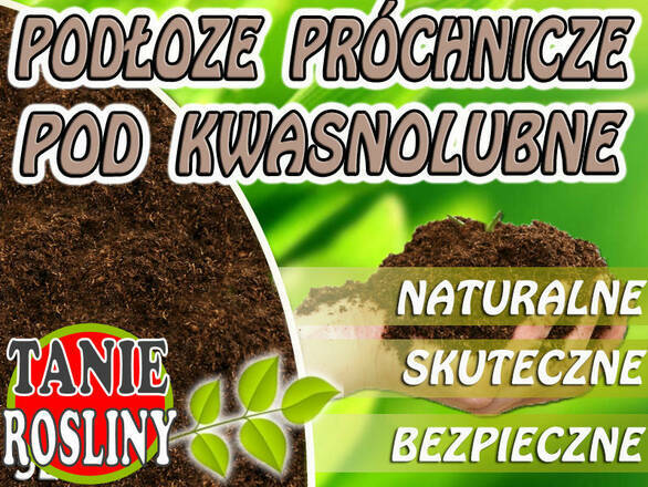  Podłoże Pod Kwasolubne 5L - zdjęcie główne