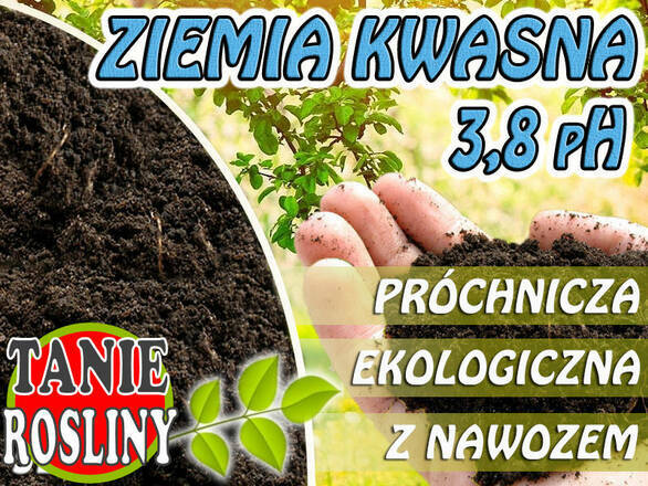   Ziemia Kwaśna 3,8pH Borówki 10L  - zdjęcie główne