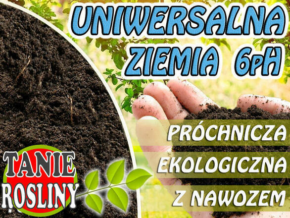   Ziemia Uniwersalna 6pH  10L    - zdjęcie główne