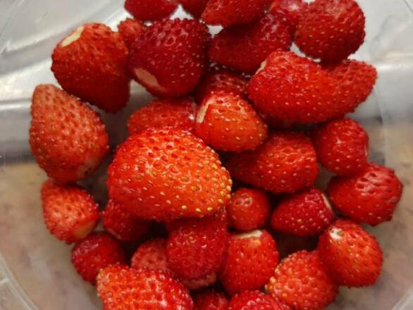 Poziomka 'Fragaria vesca L' Gigant Całoroczna - zdjęcie główne